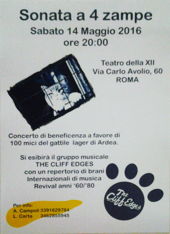 Evento di beneficenza - Sonata a 4 zampe
